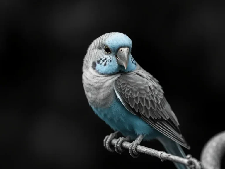 Blue Budgie Dream Meaning: Unlocking the Mysteries of Your Subconscious