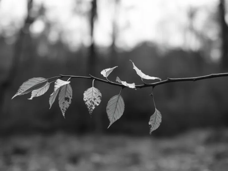 ‘Branch Stripped of Leaves Dream Meaning: Unveiling the Symbolic Significance’