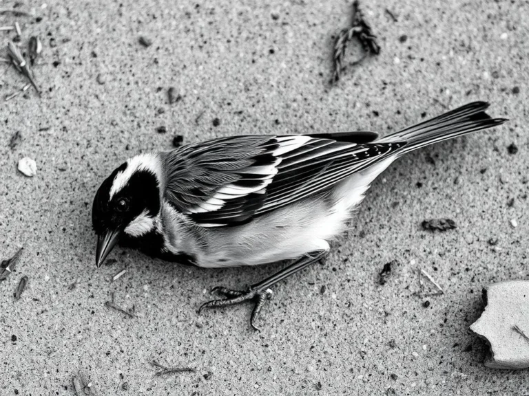 Dead Sparrow Dream Meaning: Uncovering the Symbolic Significance