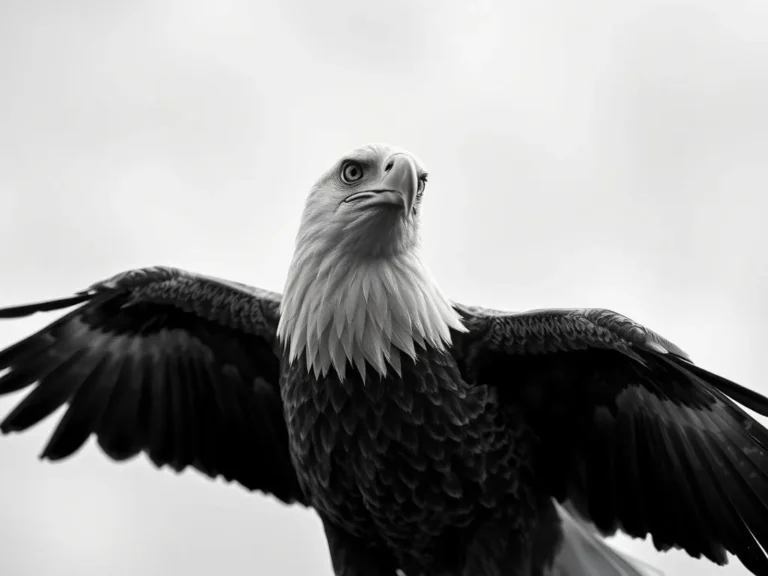 Eagle Dreams Meaning and Spiritual Meaning: Unlocking the Symbolic Significance