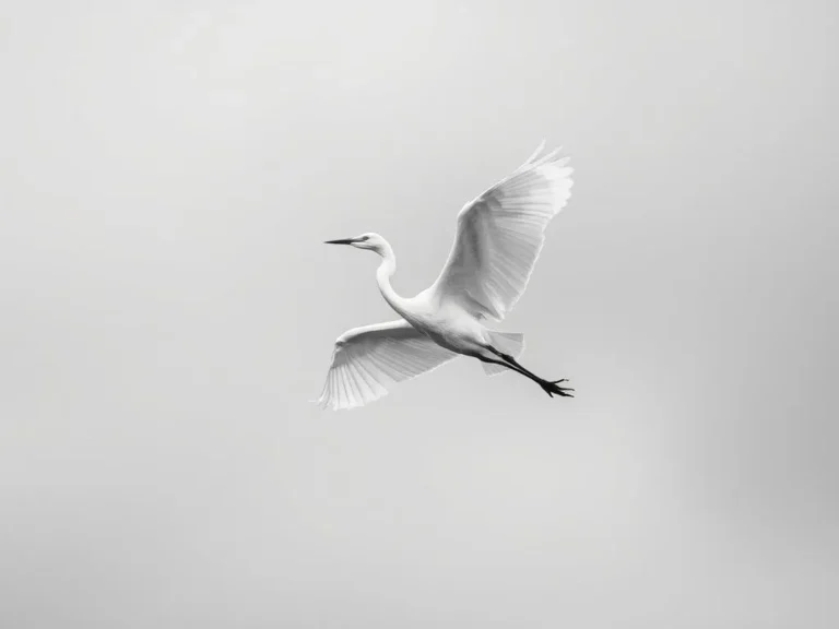 Egret Dreams Meaning and Spiritual Meaning: Unlocking the Symbolic Significance