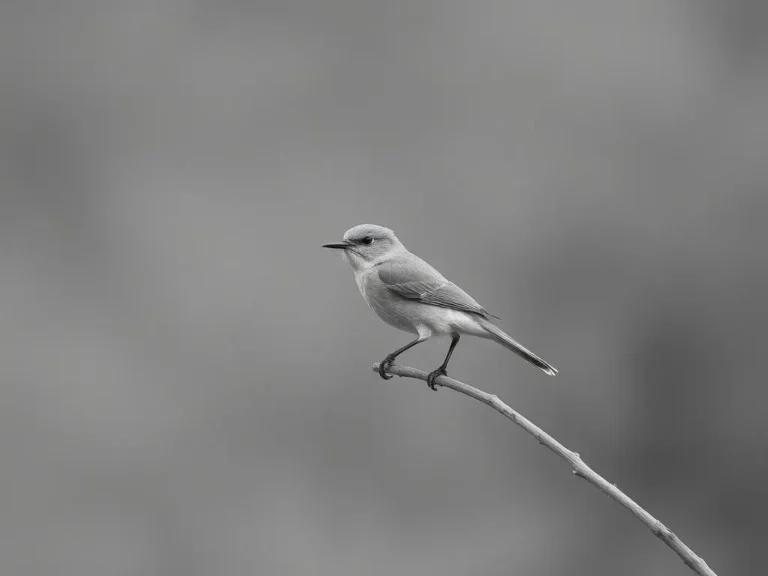 Light Blue Bird Dream Meaning: Unlocking the Secrets of Symbolic Avian Visions