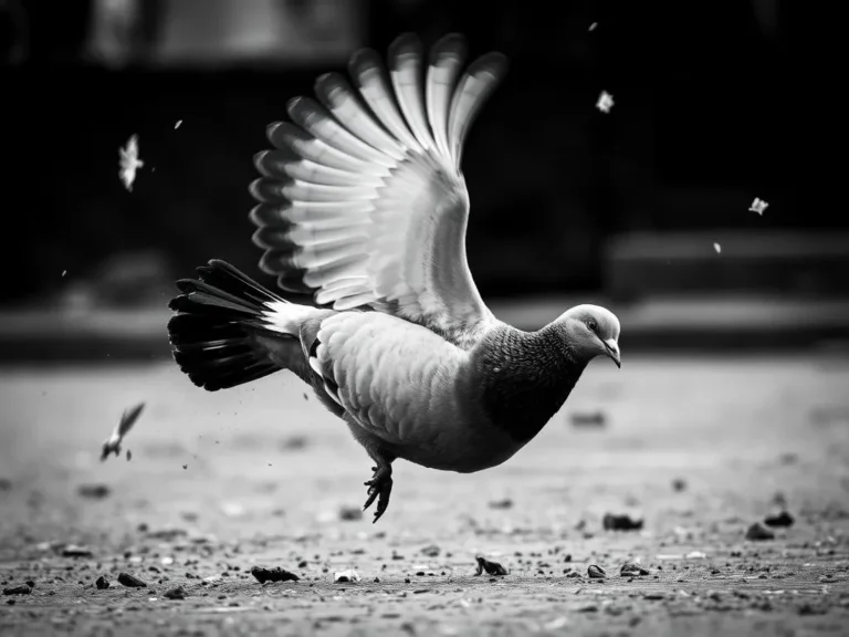 Pigeon Falling Dream Meaning: Unlocking the Symbolic Significance