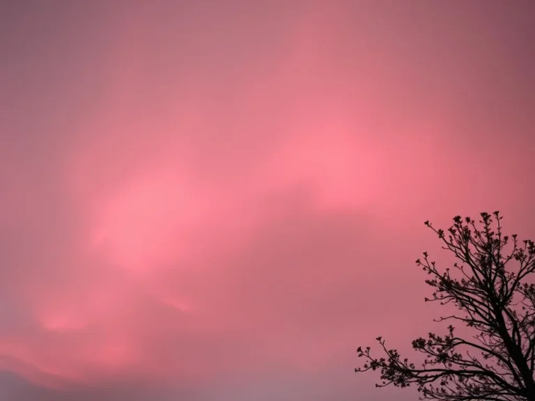 Pink Sky Dream Meaning: What Your Celestial Vision Reveals