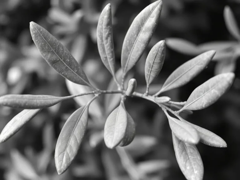 Silver Olive Branch Dream Meaning: Unlocking the Symbolism of Peace and Prosperity