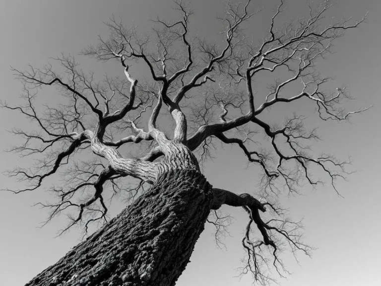 Tree Branch Falling in Your Dreams: Unraveling the Symbolic Meaning